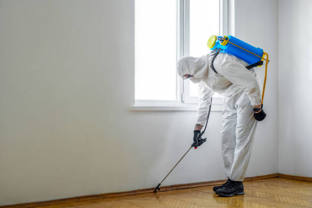 Professional Pest Control in Boca Raton, FL