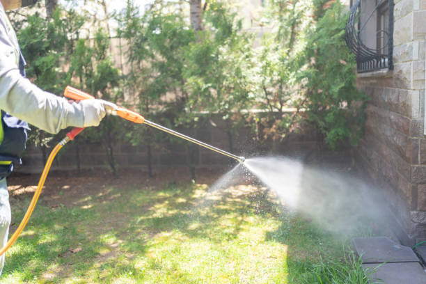 Bird Control in Boca Raton, FL
